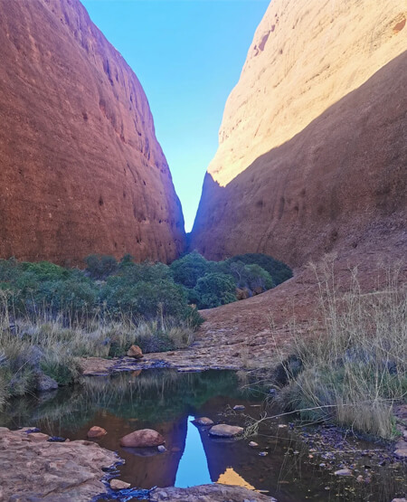 Bjerge ved Ayers Rock/Uluru og Kata Tjuta