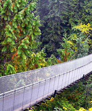 Hængebroen Capilano over skovens grønne tag i Vancouver