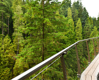 Gangbro over skovens grønne tag ved Cliff Walk i Vancouver