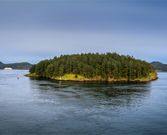 Billede af grøn ø i Georgia-strædet, Canada