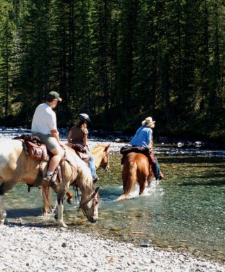 Tre heste med ryttere krydser flod i Banff National Park