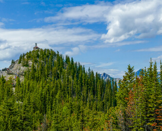 Udsigt over skov og Sulphur Mountain i Canada
