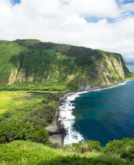 Hawaiis frodige kyst med havet op til