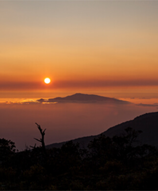 Flot solnedgang over Haleakala Crater og silouet af person på Maui